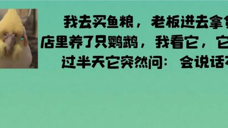 揭秘休闲食品批发：厂家直销背后的价格真相