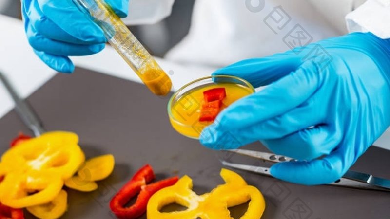 蜜饯果干小包装材质：安全与美观的完美平衡
